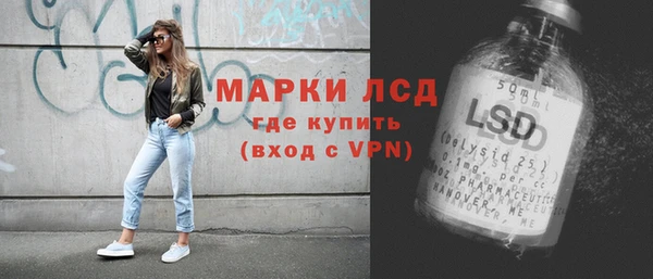 индика Бугульма