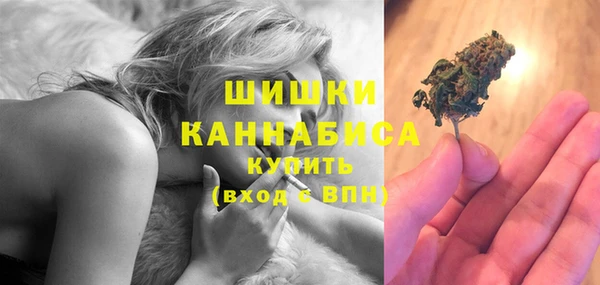 индика Бугульма