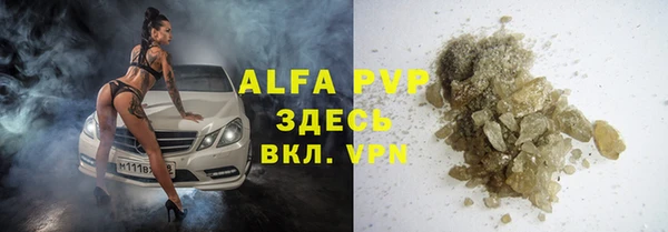 индика Бугульма