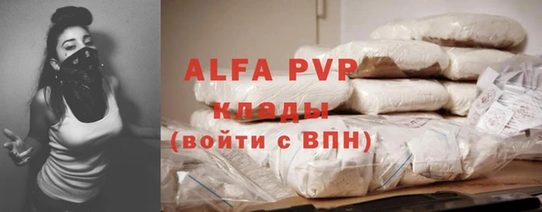 индика Бугульма