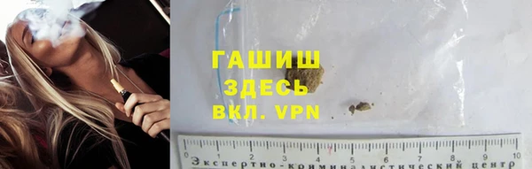 шишки Бородино