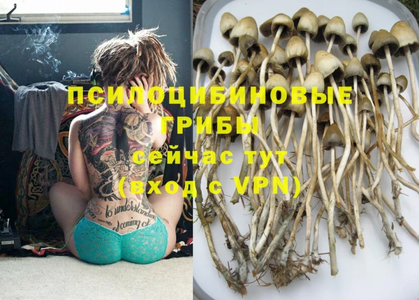 шишки Бородино