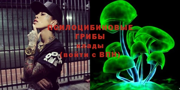 герыч Верхний Тагил