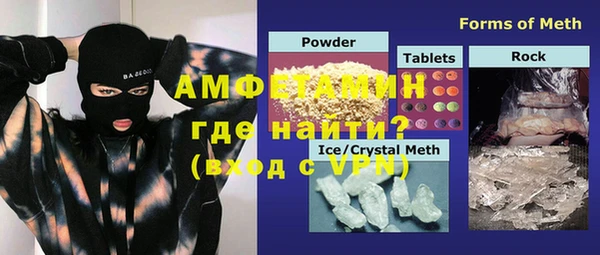 шишки Бородино